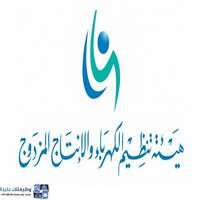 وظائف هيئة تنظيم الكهرباء والإنتاج المزدوج