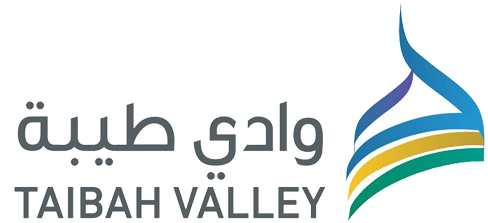 شركة وادي طيبة